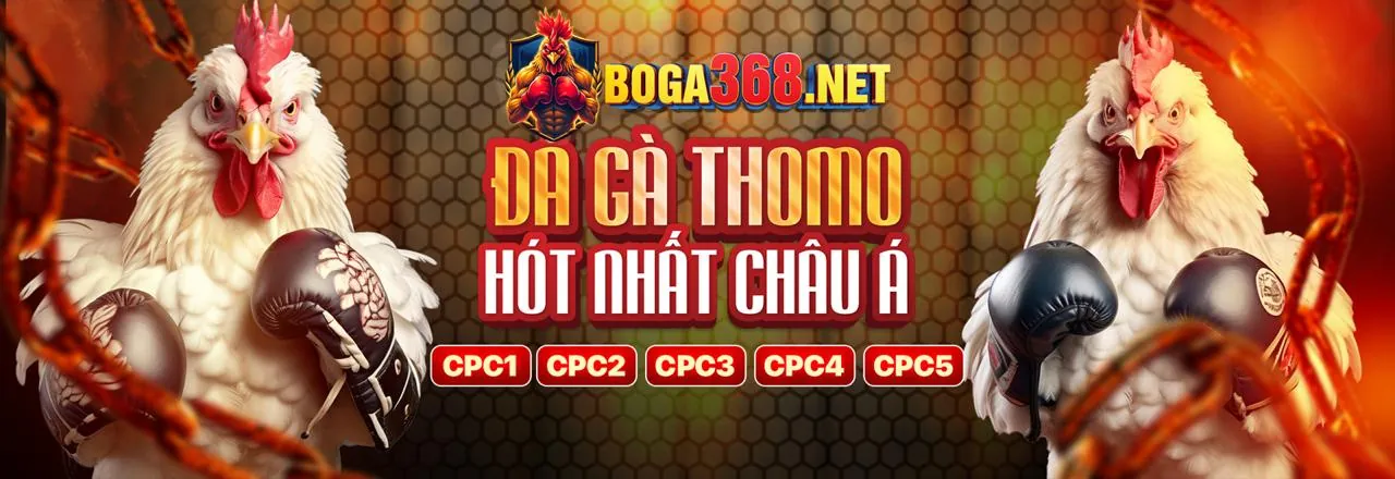 Trận đấu đá gà nảy lửa tại nn8 trang chủ chính thức